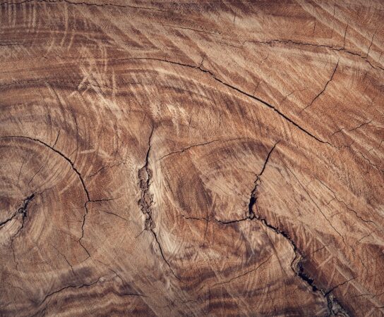 Cum să folosești lemnul stratificat în mod creativ în proiectul tău de design interior