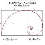 Șirul lui Fibonacci: o călătorie fascinantă prin numere și natură
