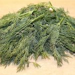 Mărarul: aroma inconfundabilă a bucătăriei românești