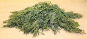 Mărarul: aroma inconfundabilă a bucătăriei românești