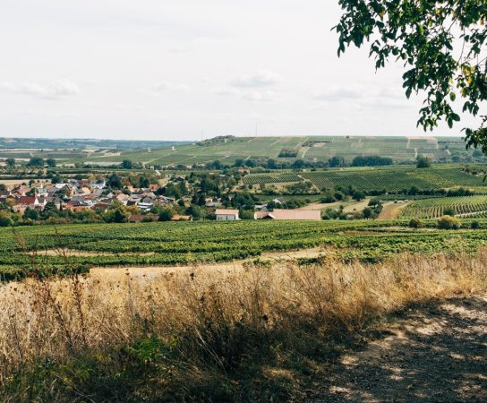 Ce este terenul intravilan și extravilan