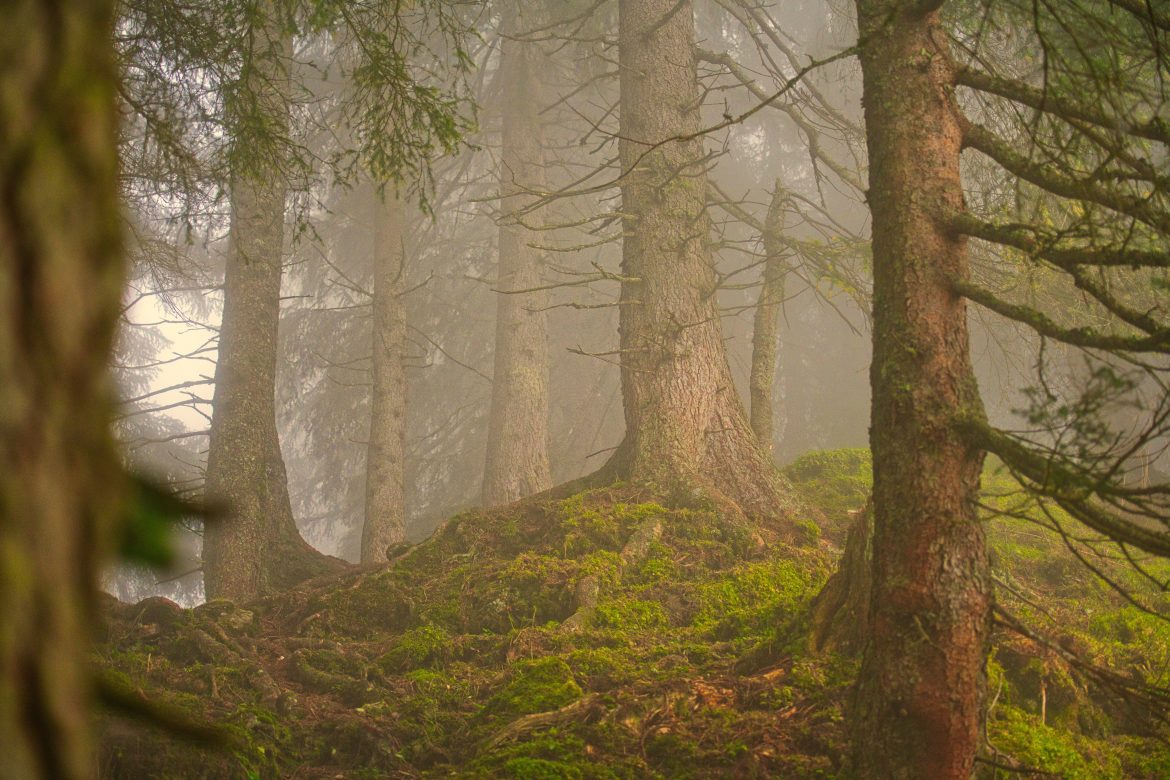 Obiective turistice din județul Cluj pe care merită să le descoperi